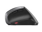 Souris sans fil ergonomique